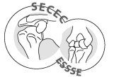 logo_essse.jpg